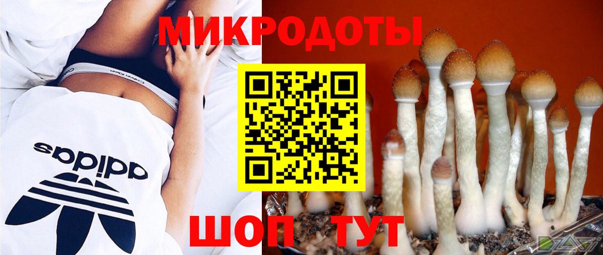 Псилоцибиновые грибы прущие грибы  Вход с VPN  Тихвин 